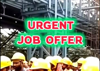 Urgent Job Requirement