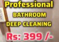 Professional Deep Cleaning