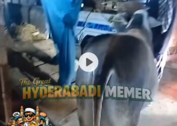 Gayi Ki Solid Kick 🤭😂