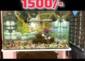Premium Aquarium Limited Deal