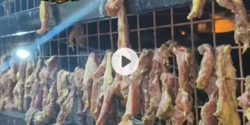 Haar Ghar Kawab. Ghar Ghar Kawab 🥓