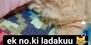 Ladaku guddi😂