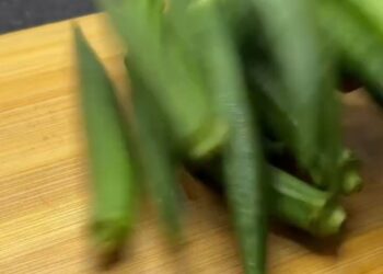 Hydrabadi vegetable