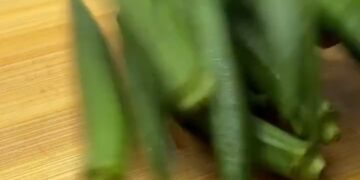 Hydrabadi vegetable