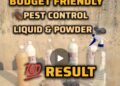 Budget😱Friendly Pest Control