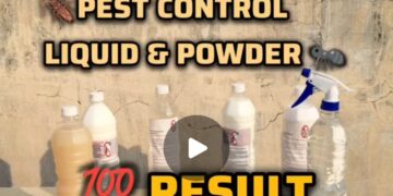 Budget😱Friendly Pest Control