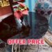 Offer Price Dining Table