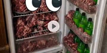 Qurbani Ke Ek Hafte Baad 😂