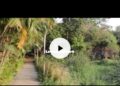 LOTAS POND PARK VIEW