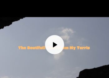 Beutifull View From My Terris