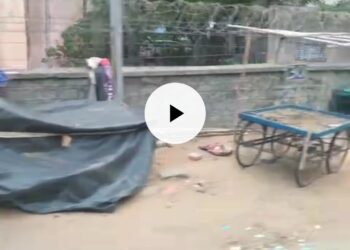 Barkas road