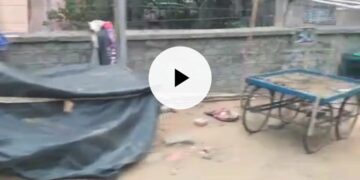 Barkas road