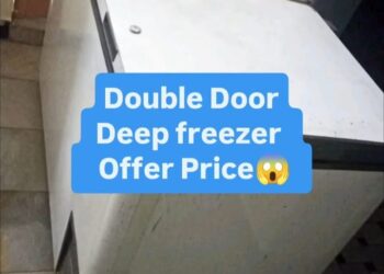 Double door deep freezer offer price