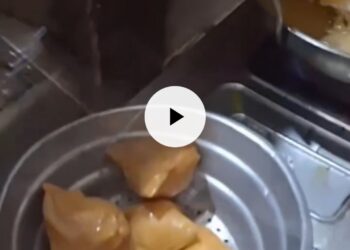Samosa🫶