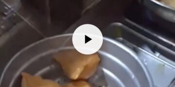 Samosa🫶