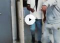 Most funniest video😇